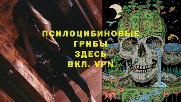первитин Алексин