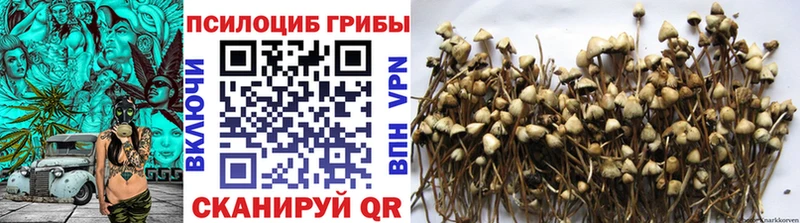 цены наркотик  KRAKEN как войти  Галлюциногенные грибы MAGIC MUSHROOMS  Североуральск 